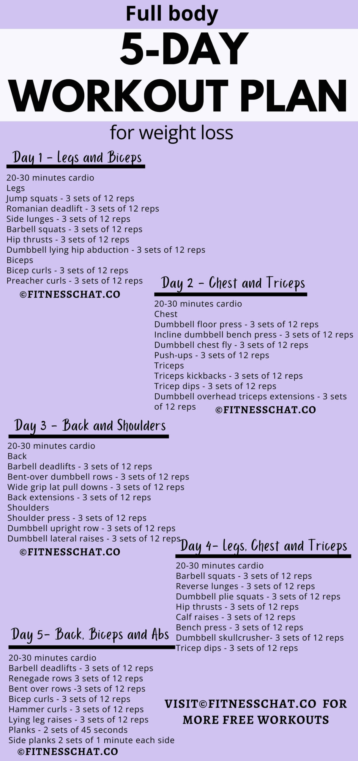 Full body workout 5 days a week Plan PDF FEMALE